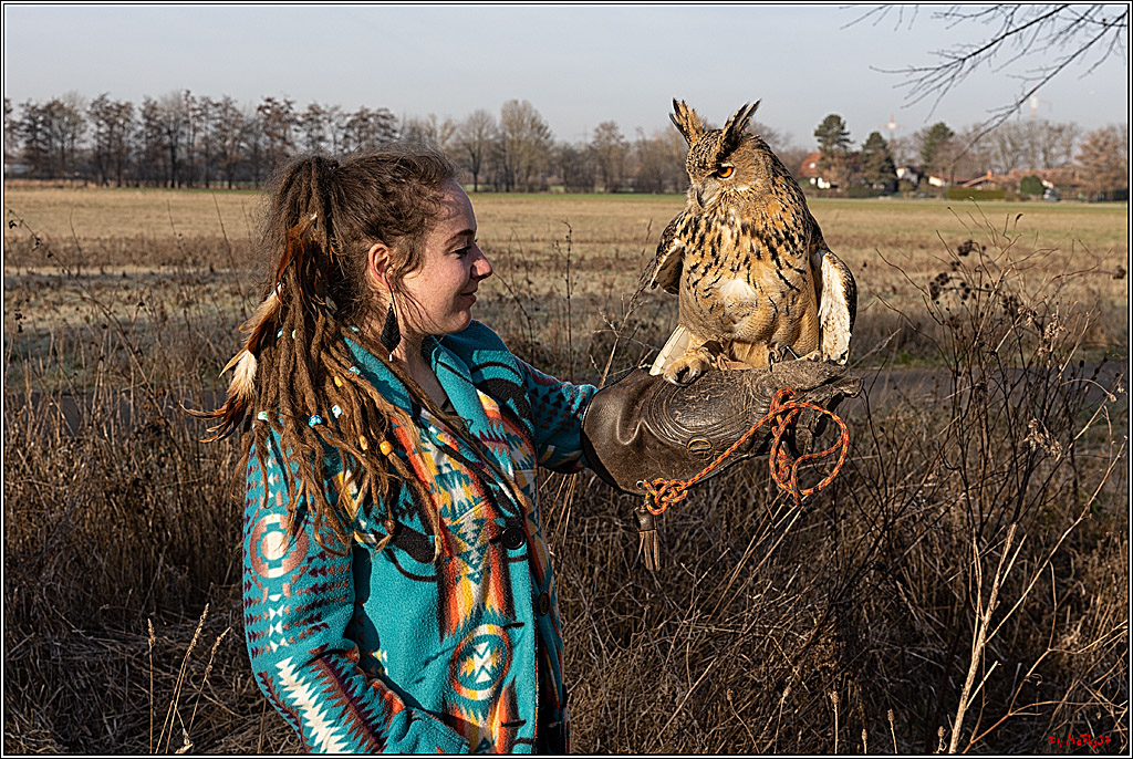 Cheyenne-Halbblut Hunting Wolf in der Falknerei Pierre Schmidt; Gymnich, 09.02.2023